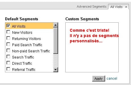 google analytics aucun-segment-personnalise