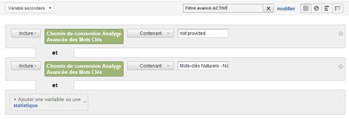 google-analytics--multichannel-groupe de canaux personnalise-not provided trafic organic marque-optimisation-conversion