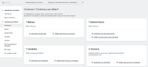 interface-admin-conteneur-tag-manager-formation-matomo