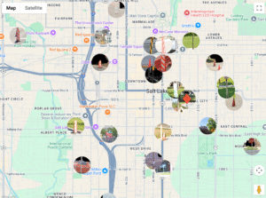 bigquery dataset geospacial formations analytics